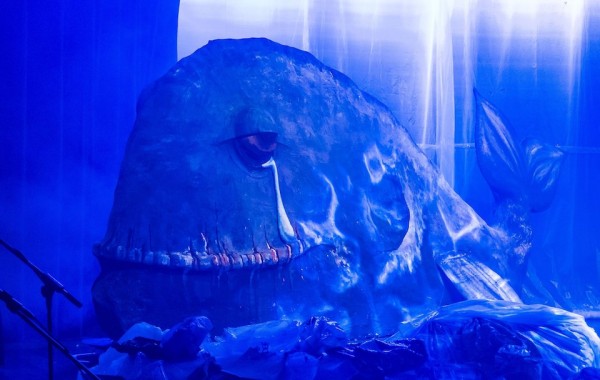 2022 Primary Galapagos