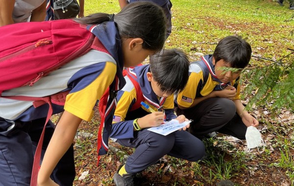 2022 Scouts Activities