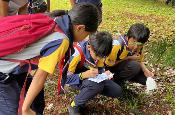 2022 Scouts Activities