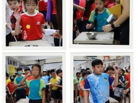 My Life! My Playstation!